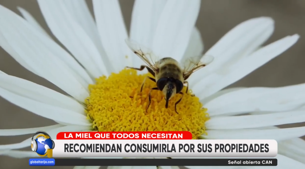 Captura de pantalla 2026-03-24 101113