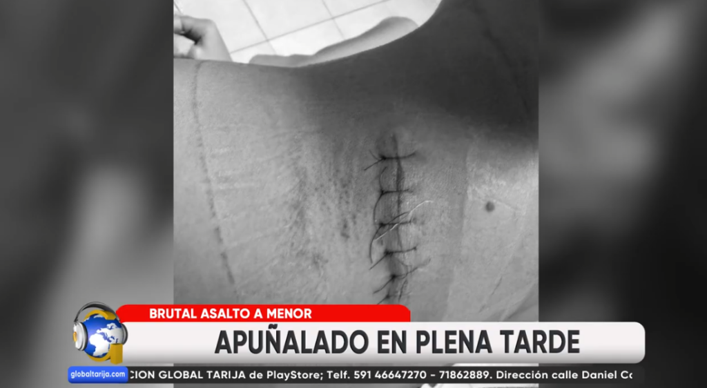 Captura de pantalla 2026-03-30 202724
