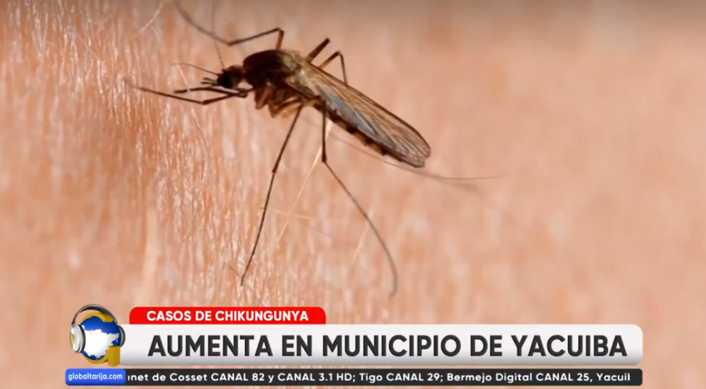 Captura de pantalla 2026-04-07 201538