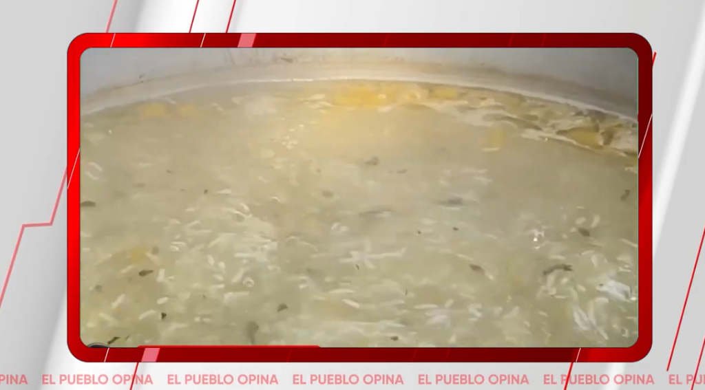 Captura de pantalla 2026-04-17 205604