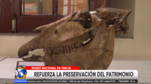 Captura de pantalla 2026-04-22 200434