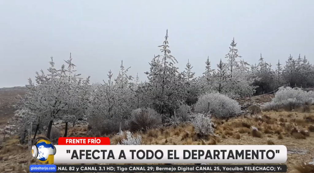 Captura de pantalla 2026-04-30 204608