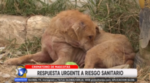 Captura de pantalla 2026-05-05 202747