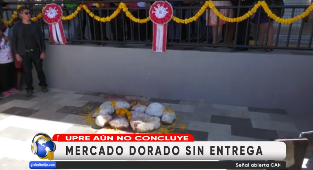 Captura de pantalla 2026-05-08 205251