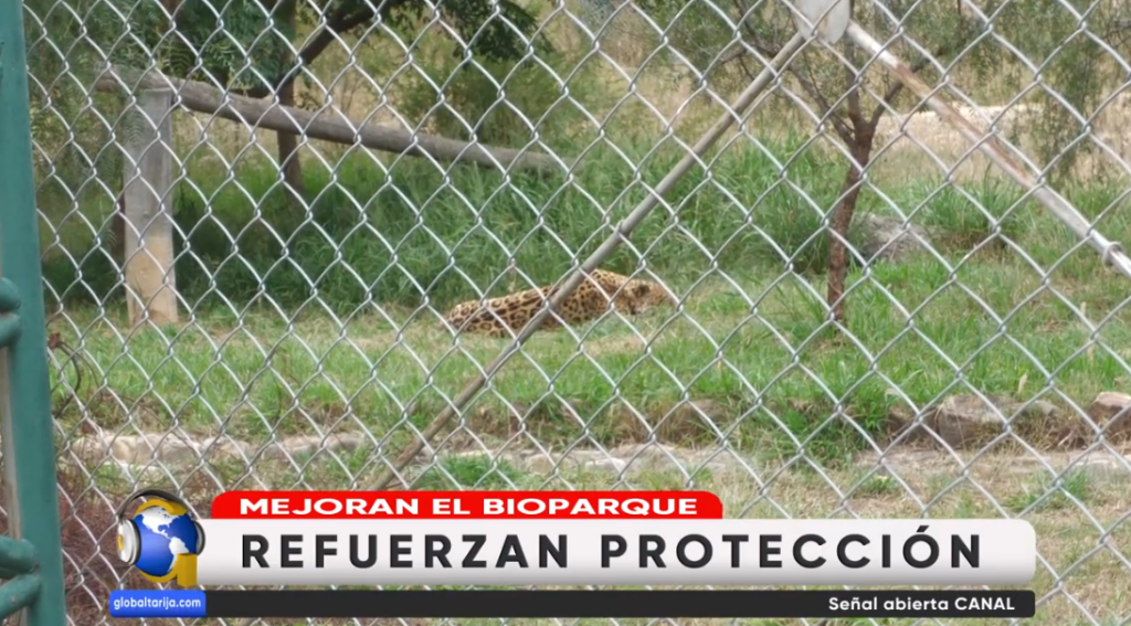Captura de pantalla 2026-05-11 210050