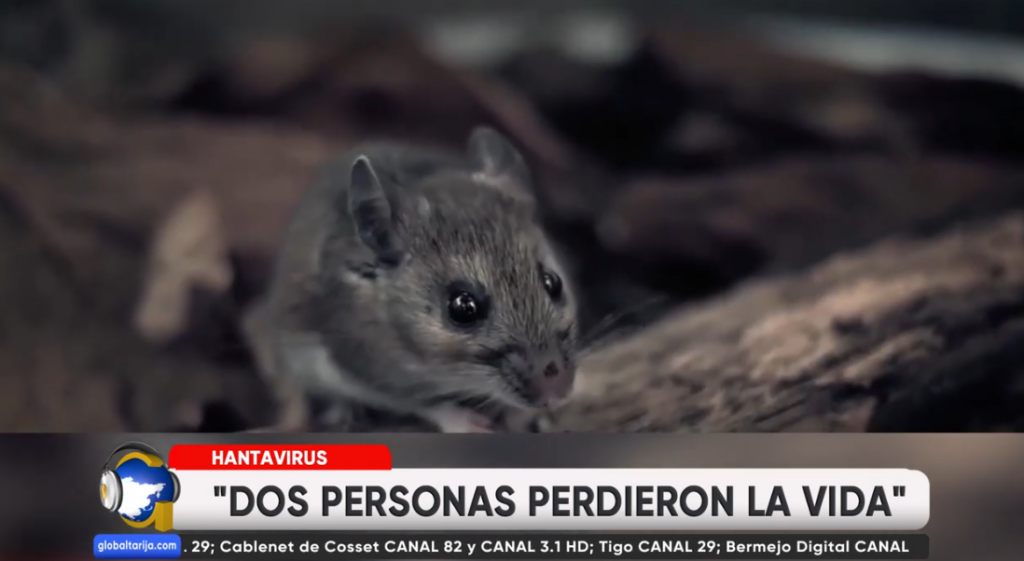Captura de pantalla 2026-05-12 203815