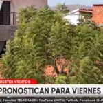 TITULARES VIERNES 17 DE JULIO DE 2026