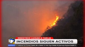INCENDIOS
