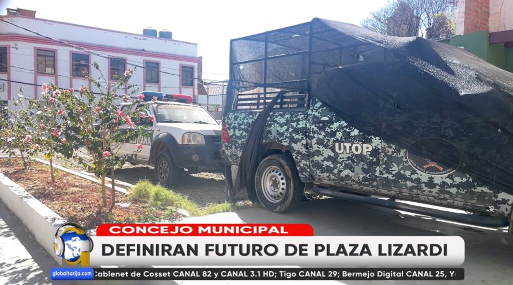 PLAZA LIZARDI