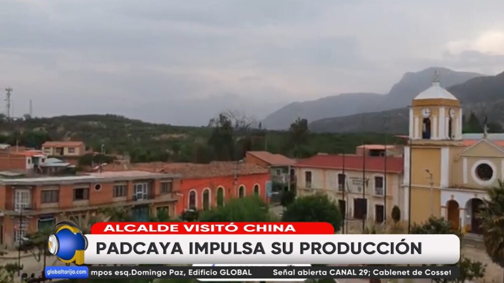 padcaya