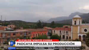 padcaya